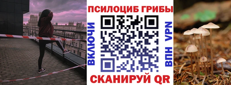 Галлюциногенные грибы прущие грибы  Давлеканово 